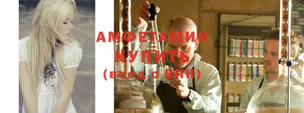 сатива Балахна