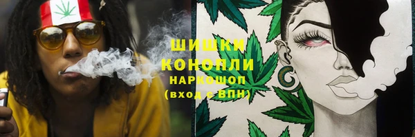 сатива Балахна