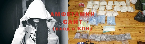 сатива Балахна