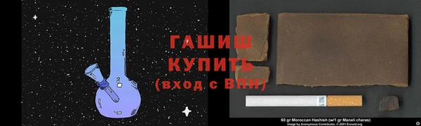 сатива Балахна