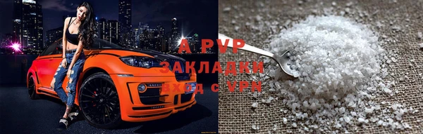 сатива Балахна