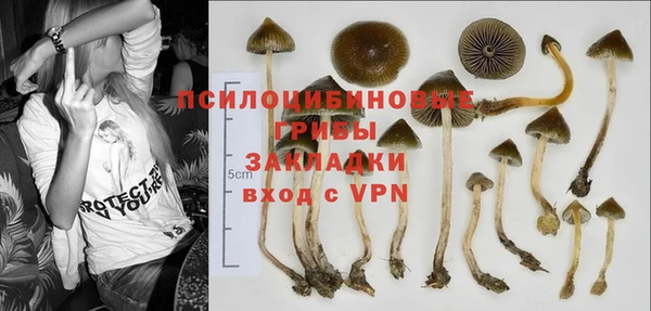 гашик Баксан