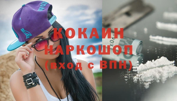 сатива Балахна