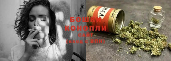 сатива Балахна
