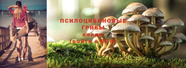 сатива Балахна